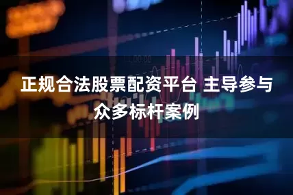 正规合法股票配资平台 主导参与众多标杆案例